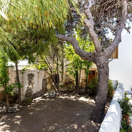 ντίνα *